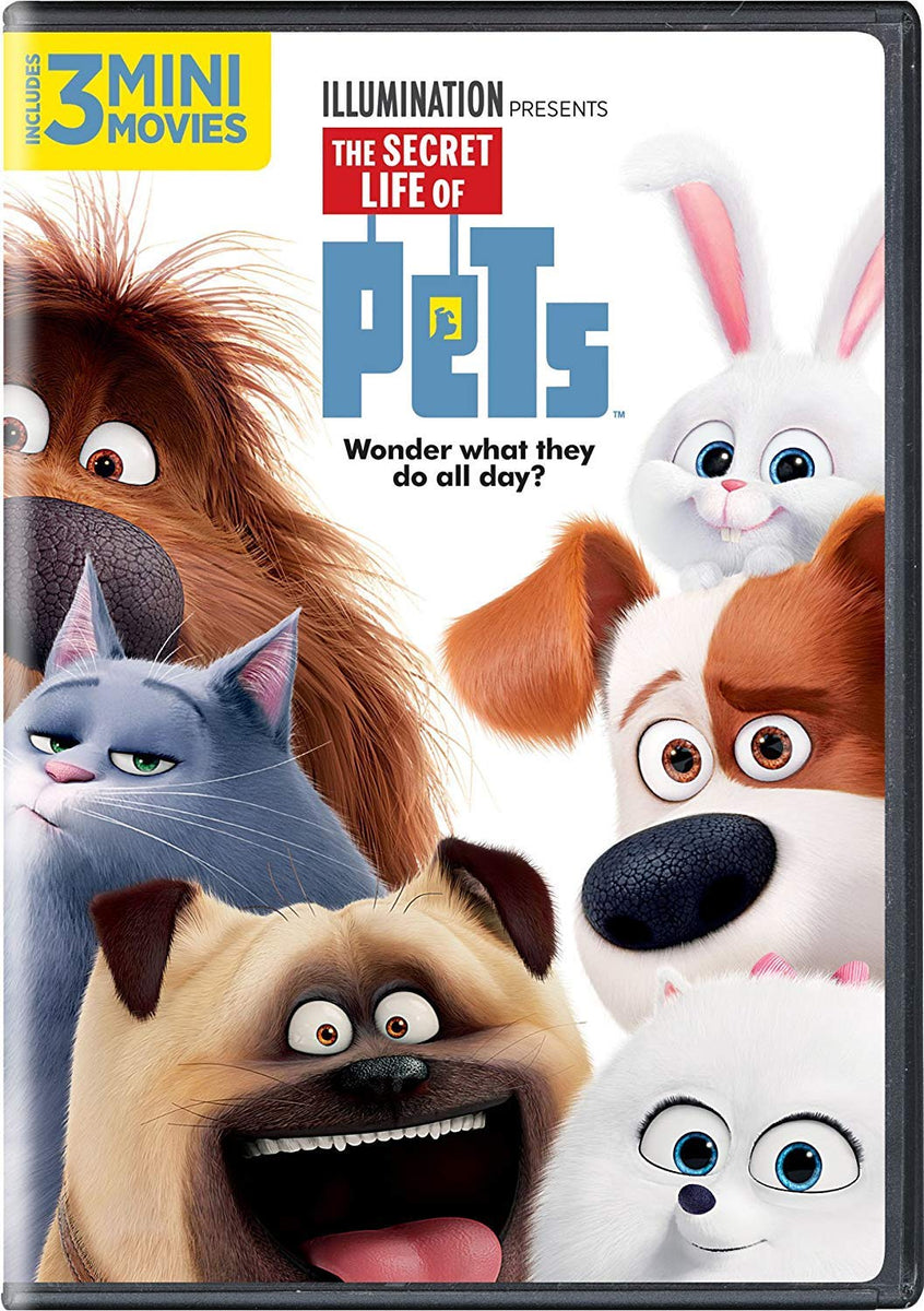 The Secret Life Of Pets, Open Season, Adventures in Zambezia