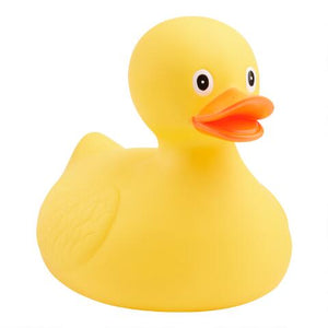 A Duck is a Duck