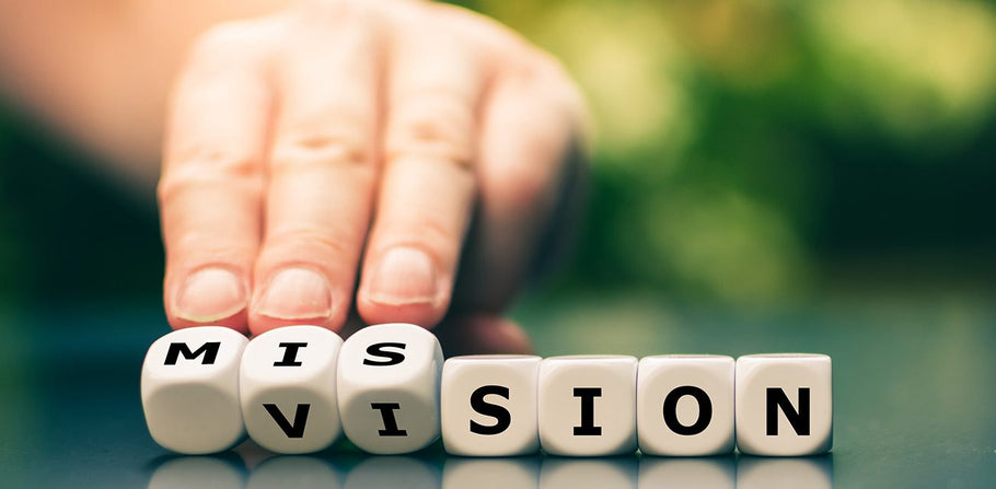 Vision