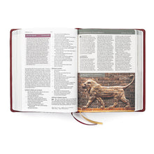 HCSB Holy Land Illustrated Bible Burgundy Leathertouch