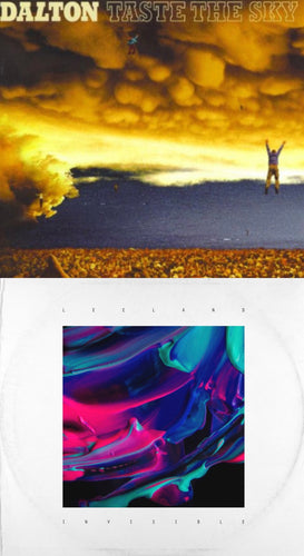 Dalton Taste the Sky + Leeland Invisible 2CD
