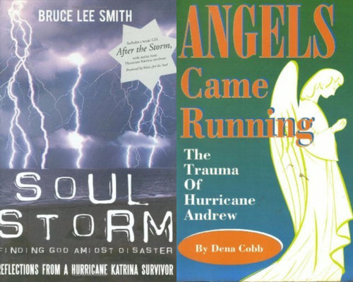 Bruce Lee Smith Soul Storm + Dena Cobb Angels Came Running