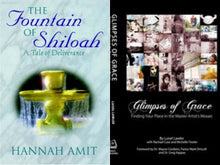 Hannah Amit The Fountain of Shiloah + Luisel Lawler Glimpses of Grace