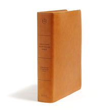 HCSB Holy Land Illustrated Bible Ginger Leathertouch