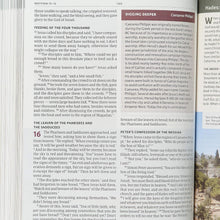 HCSB Holy Land Illustrated Bible Ginger Leathertouch