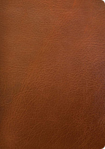 NLT Life Application Study Bible Large Print Brown Geniune Leather