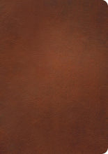 NLT Courage for Life Women's Filament Study Bible Genuine Leather Brown