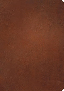 NLT Courage for Life Women's Filament Study Bible Genuine Leather Brown