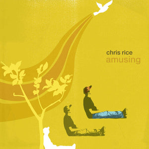 Chris Rice Amusing & What a Heart is Beating For +More CCM Bundle Pack 10CD