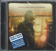 Chris Rice Amusing & What a Heart is Beating For +More CCM Bundle Pack 10CD