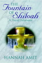 Hannah Amit The Fountain of Shiloah + Luisel Lawler Glimpses of Grace