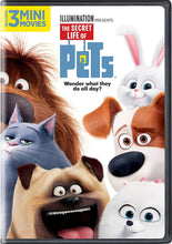 The Secret Life Of Pets, Open Season, Adventures in Zambezia, Alvin 4DVD