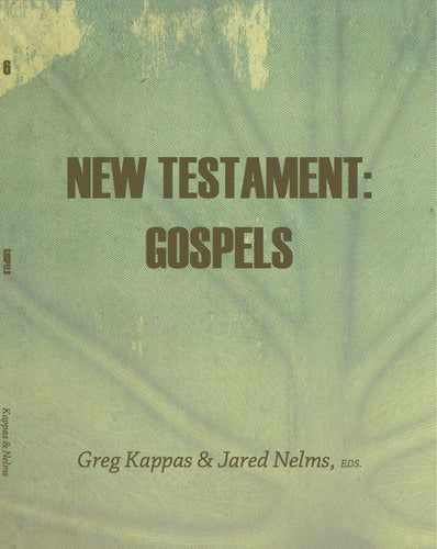 TTI New Testament Gospels workbook