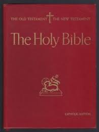 Portuguese Bible Hardcover Red